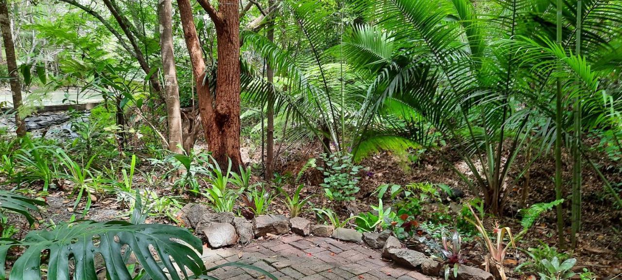 Treetops Монтвилл Экстерьер фото