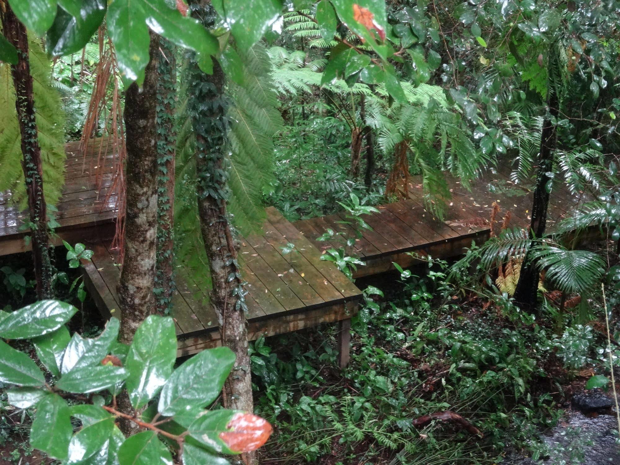 Treetops Монтвилл Экстерьер фото