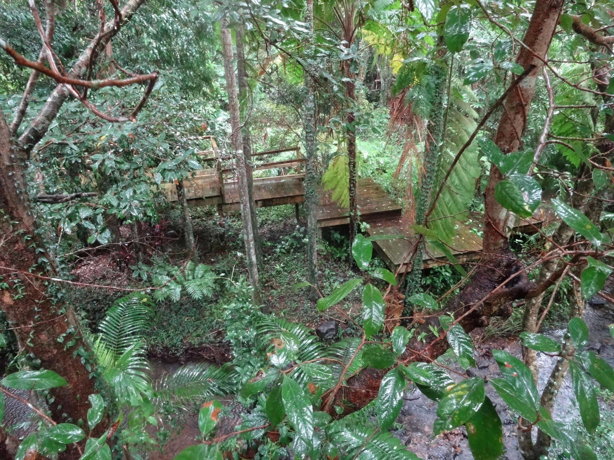 Treetops Монтвилл Экстерьер фото